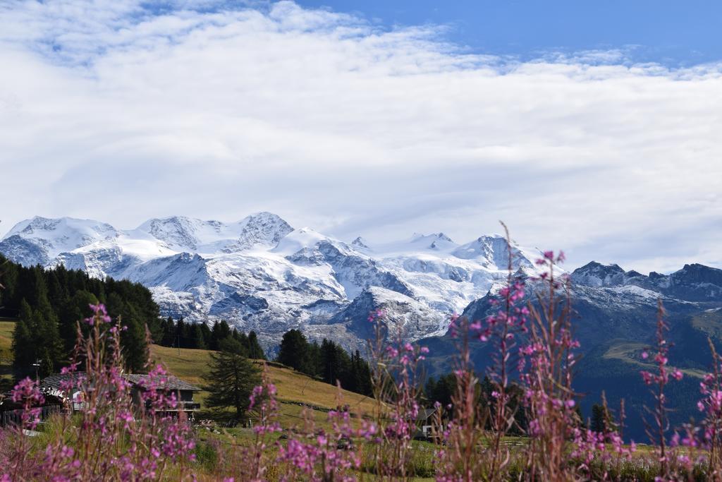 Le Rocher Hotel Champoluc Exterior foto